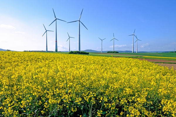 Windmills
